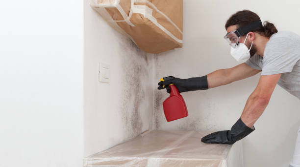 Professional Mold Remediation technician working in Flanders, NY