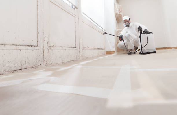 24/7 Emergency Mold Remediation experts in Flanders, NY
